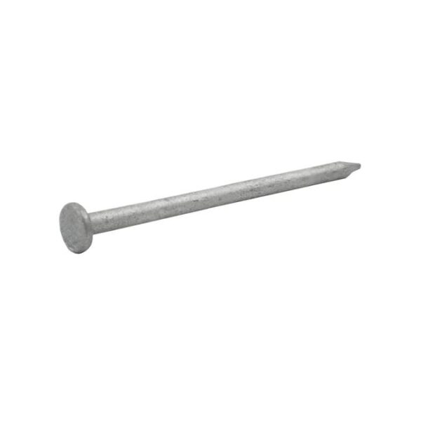 2" Galvanized Common Nails