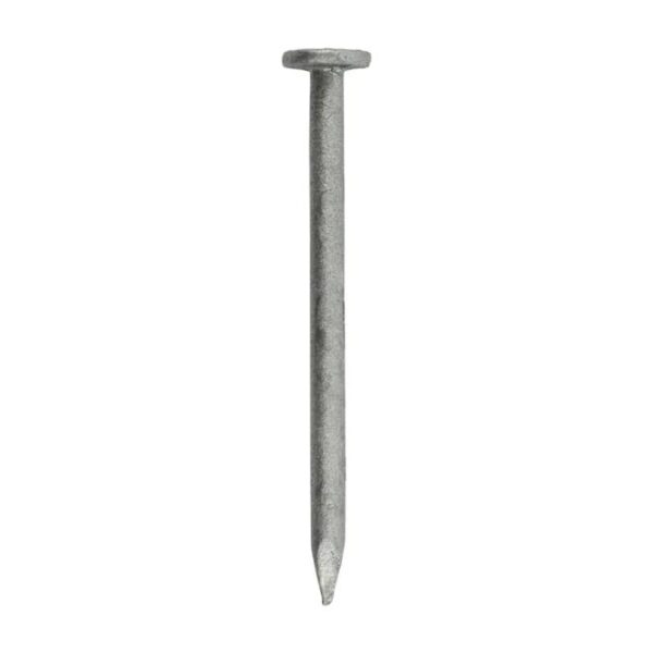 1-1/2" Galvanized Common Nails - Image 2