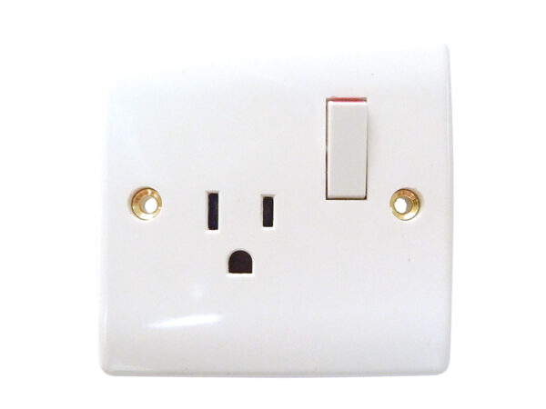 110V Single Switch Socket