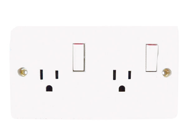 110V Double Switch Socket