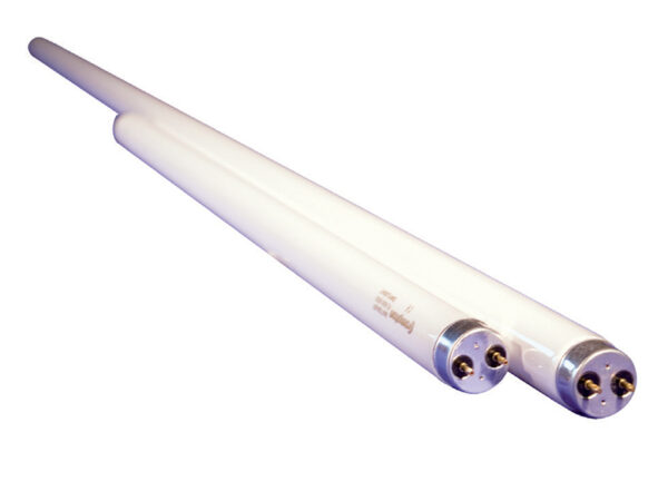 40-Watt T8 4' Fluorescent Tube