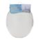 Regular White Toilet Seat