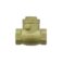 1/2" Swing Check Valve