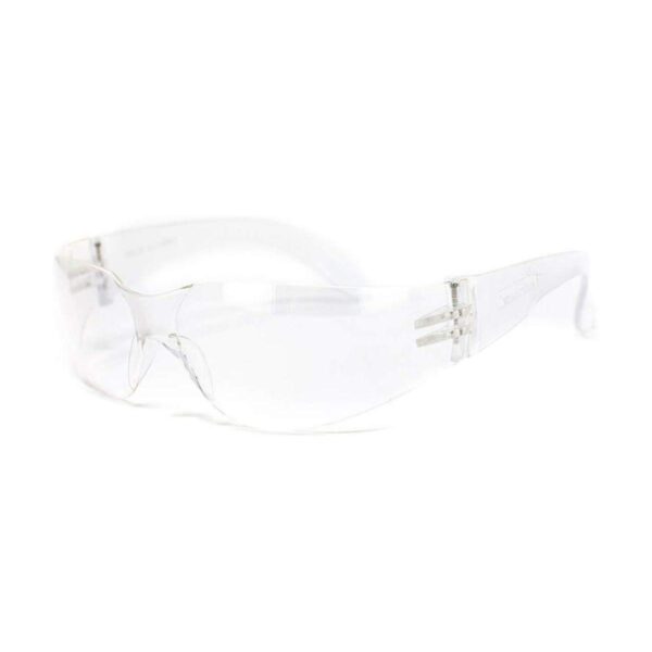 Bison Life Everyday Safety Glasses