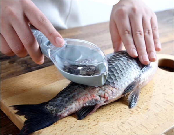 Fish Scale Scraper w/Cover - Image 2