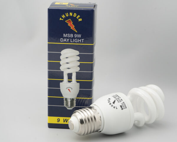 9-Watt Energy Saving Screw Bulb, E27 220V